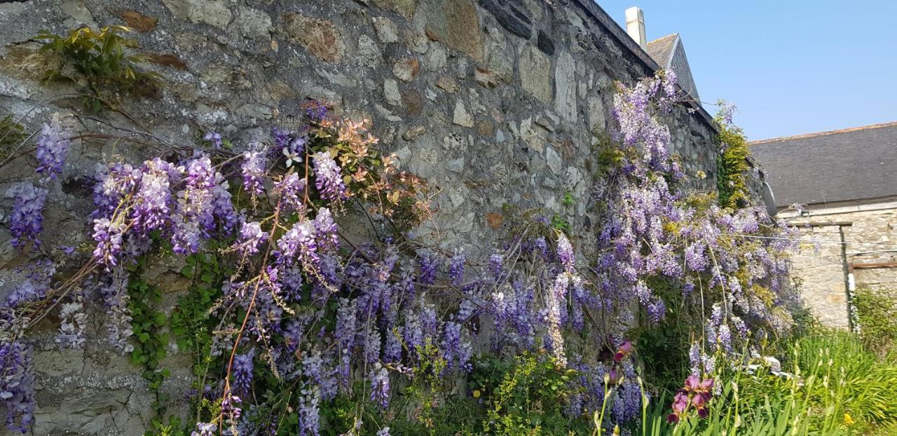 Maison Papillons Bed and breakfast